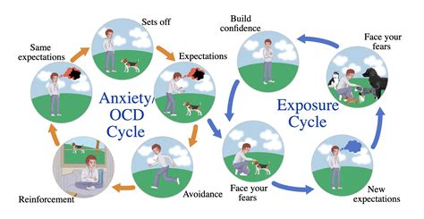 Dog Anxiety Cycle Mayo Clinic Anxiety Coach