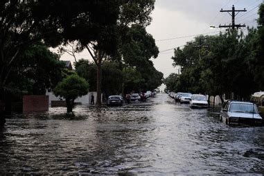 Many infected people also develop a rash of variable appearance. Ross River virus | healthdirect