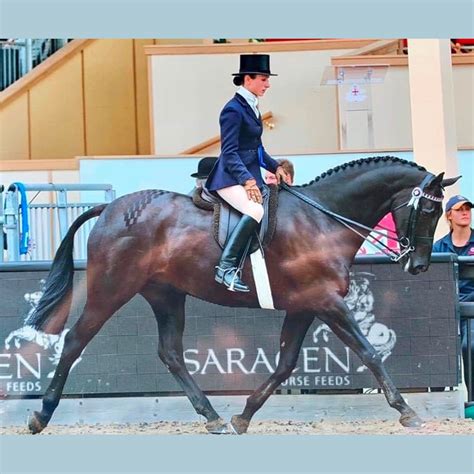 Team Holder Showing Wessex Gold Riding Club