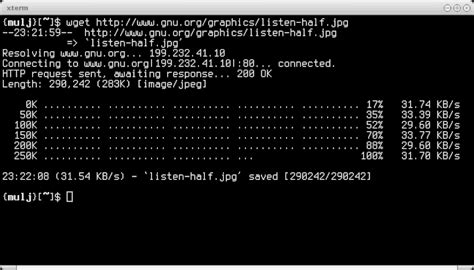 How To Use Wget The Ultimate Command Line Downloading Tool Examples And
