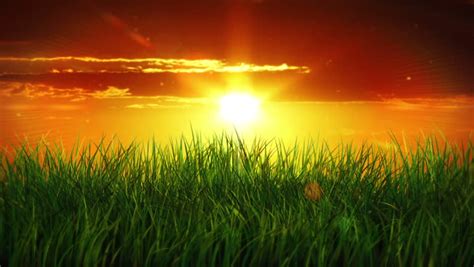 Sunrise Over A Green Grass Stock Footage Video 100 Royalty Free