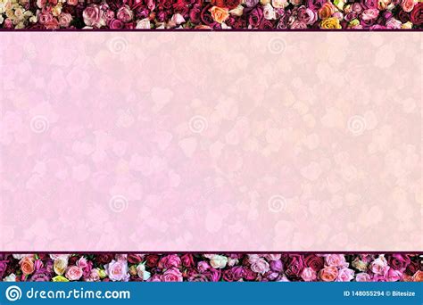 Rose Wall Border With Faded Background Stock Photo Image Of Flowers