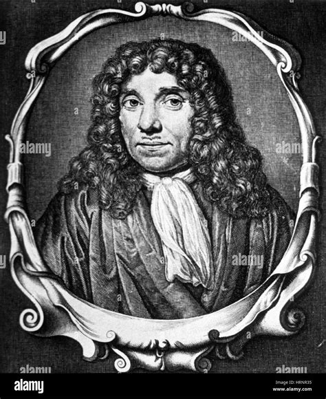 Portrait Of Antonie Van Leeuwenhoek Black And White Stock Photos