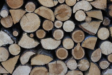 6 Hi Res Wood Textures High Resolution Textures