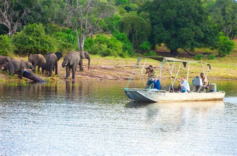 Chobe River And National Park Facts Botswana Travel Guide