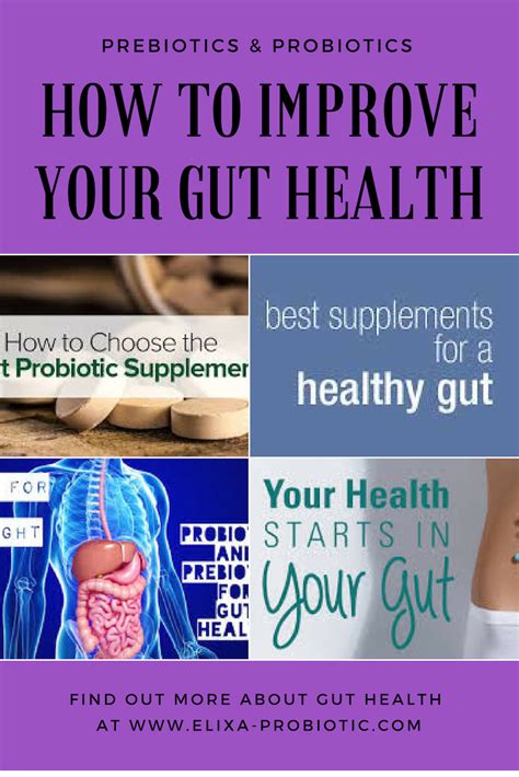 Maybe you would like to learn more about one of these? Best Probiotic Products For Gut Health, rebuilding gut ...
