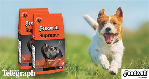 Международная выставка домашних животных и зооиндустрии. Win a years supply of Feedwell Supreme Dog Food with the ...