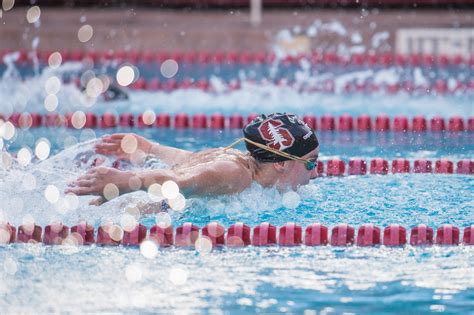 Stanford Swimming And Diving Season Preview Part 2 The Cardinal Women