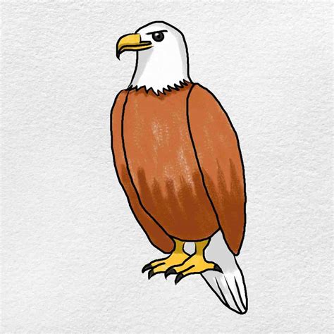 How To Draw An Eagle Easy Helloartsy