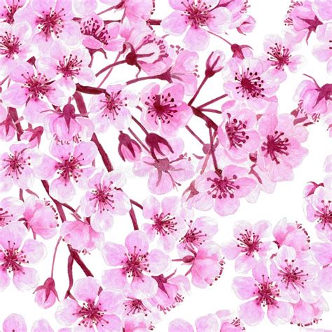Spring Floral Seamless Pattern Delicate Cherry Blossom Flowers In