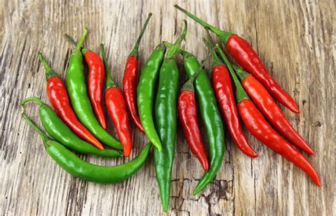25 Interesting And Fascinating Facts About Chili Peppers Tons Of Facts