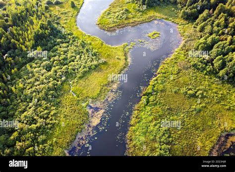 Aerial View Of River Green Swamp Grass Summer Landscape Winding