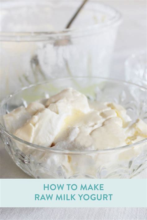 Reindeer milk vs frozen yogurt. How to make raw milk yogurt (With images) | Raw milk ...