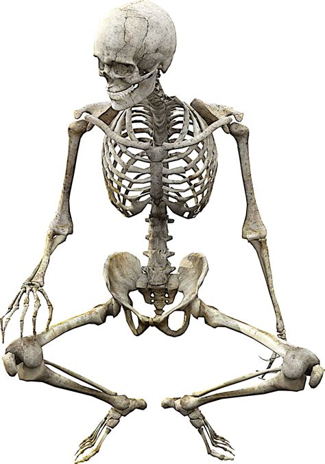 Skeleton Png Images