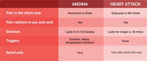 Difference Between Angina And Heart Attack Angina Awareness India
