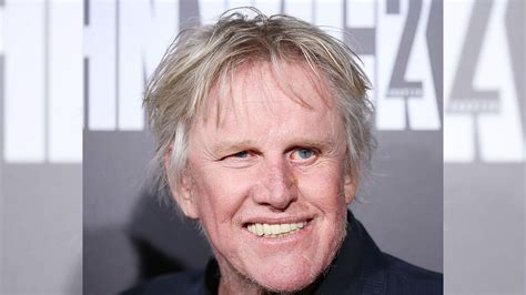 Gary Busey Facing Sex Crime Charges After Horror Convention Appearance