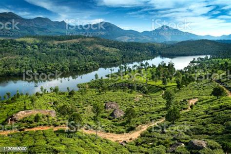 Hills Lake And Tee Plantations In Kerala Stock Photo Download Image