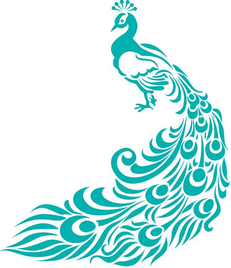 Peacock Vector Free Download Clipart Best