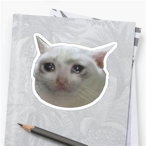Crying Cat  Stickers By Ever Redbubble