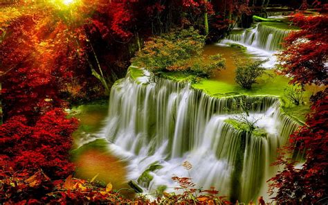Autumn Cascade Falls Leaves Red Trees Waterfall Autumn Nature Hd
