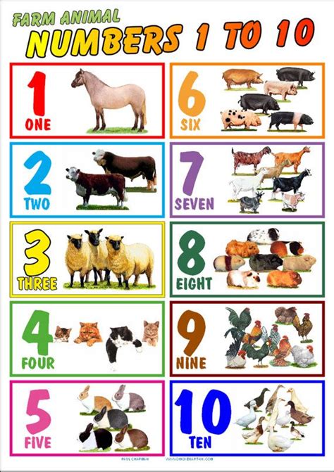 A4 Postersnumbers 1 10childrens Educational Poster Counting Farm