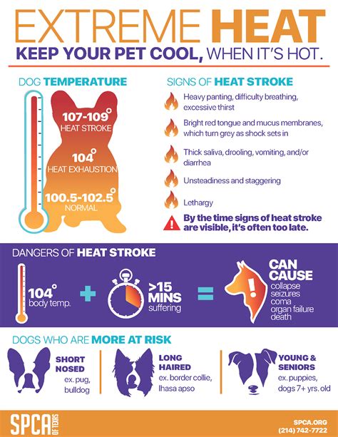 This website has developed a list of methods for detecting heat stress in your pet. Heat Stroke Warning Signs & Prevention