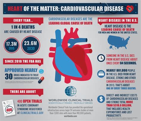 Cardiovascular Disease Infographic 1152×995 Disease Infographic