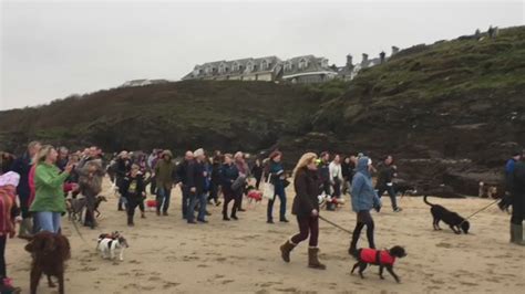 Hundreds Of People Gathered To Take The Dying Dog On An Emotional Last
