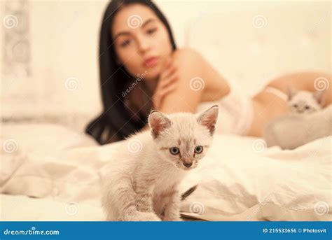 Cat And Lady Play With Kitty Gorgeous Attractive Girl Relax With Cute