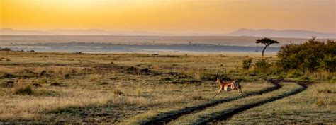 9 Days Explore Kenya Safari Roots Tours And Travel