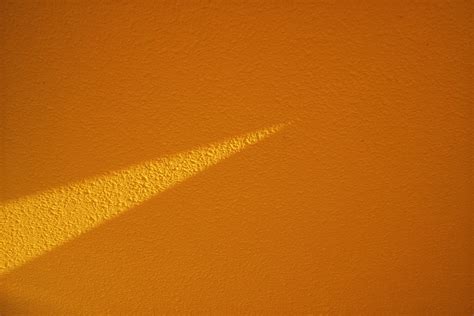 Find Your Tribe: How These Freelance Creatives Found Community