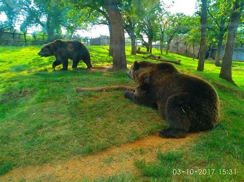 Oklahoma City Zoo Top Tips Before You Go With Photos Tripadvisor