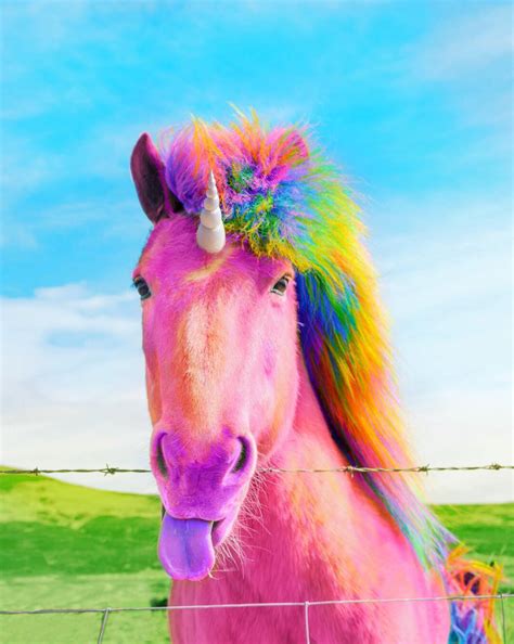 Pin On Unicorns And Rainbows