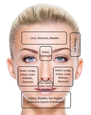 Acne Face Mapping Chart Sexiz Pix Sexiz Pix