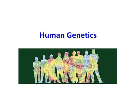 Ppt Human Genetics Powerpoint Presentation Free Download Id2170900
