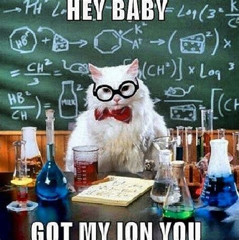 Chemistry Cat Chemistry Cat Chemistry Jokes Science Jokes