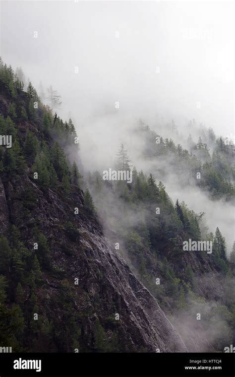 Foggy Clouds Rising From Dark Alpine Mountain Forest Stock Photo Alamy