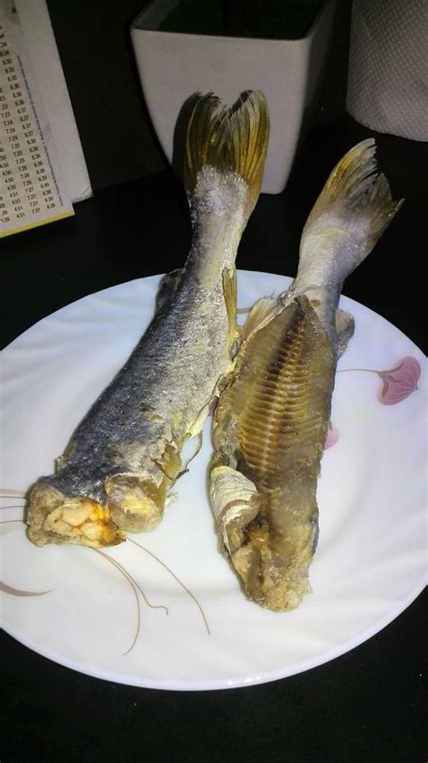 Masak lemak cili api kacang kuda. namakucella: PEGAGA MASAK LEMAK CILI API DENGAN IKAN MASIN