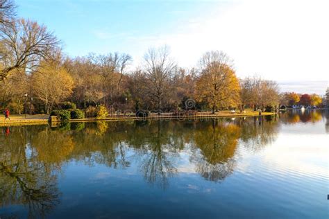 A Shot Of The Still Lake Water In The Park Surrounded By Gorgeous