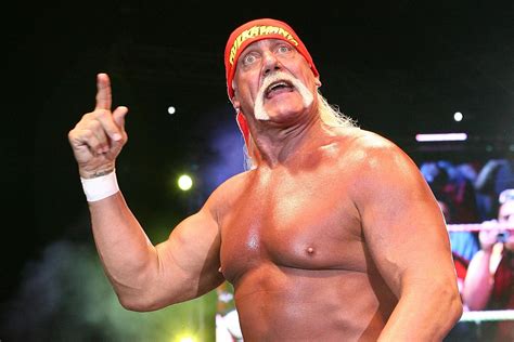 Hulk Hogan Is Suing Gawker Media—again