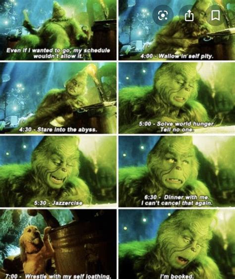 Pin By Noel Navarro On Funny Stuff Mostly Grinch Quotes Grinch