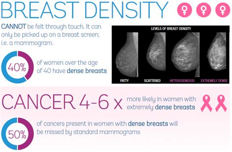 Volpara Breast Density Infographic Volpara Health