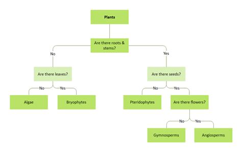 Dichotomous Flowchart Edrawmax Free Editbale Printable Flow Chart The