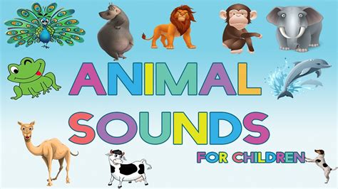 Animal Sounds 30 Amazing Real Animals For Children Names Sounds