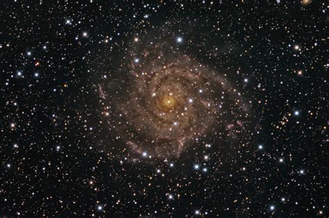 Ic 342 The Hidden Galaxy Astronomy Magazine Interactive Star