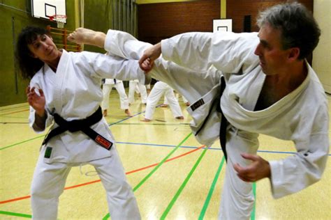 The World Of Karate Femex Karate Martial Arts Training Center