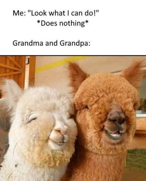 15 Warm And Fuzzy Memes That Will Brighten Up Your Day In 2021 Fuzzy