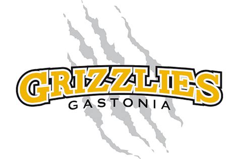 Canceled Fireworks Night With Gastonia Grizzlies Charlotte On The Cheap