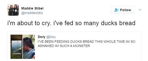 Sign Warning People Not To Feed Ducks Bread Upsets Twitter Daily Mail Online