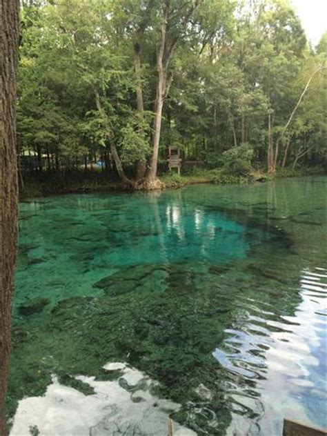 Book ginnie springs, high springs on tripadvisor: 10 Best Caves in Florida